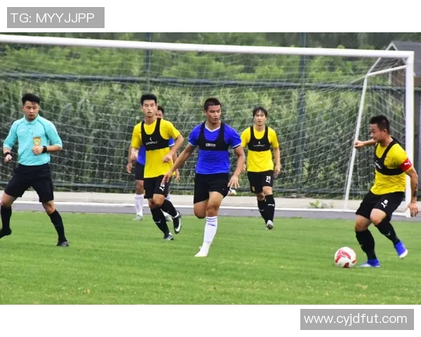 武汉羽毛球队实力对比深度解析与未来发展展望